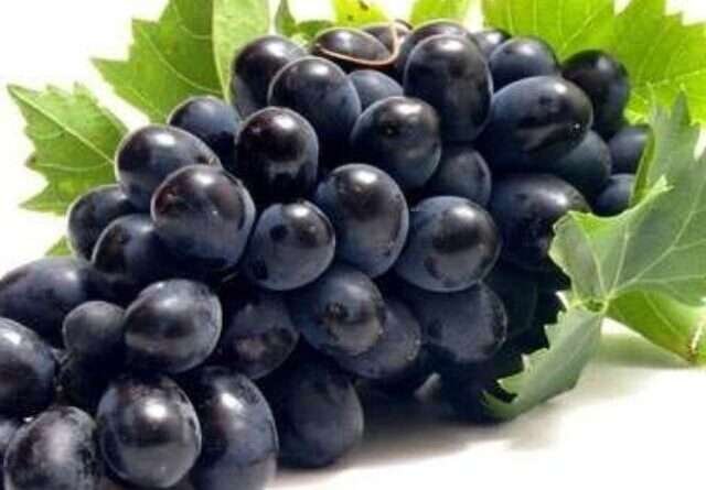 cropped-black-seedless-grapes.jpg