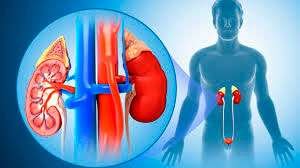 Kidney problems