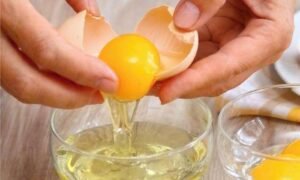 Eat Egg Yellow