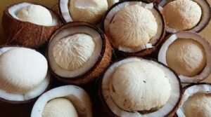 Coconut Flower Benefits