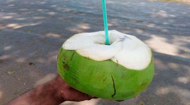 coconut water benefits In telugu