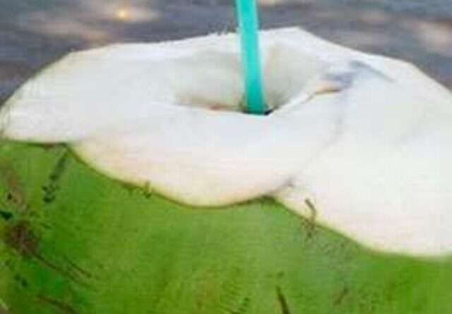 coconut water benefits In telugu