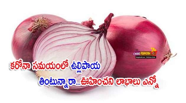 onion Benefits in Telugu