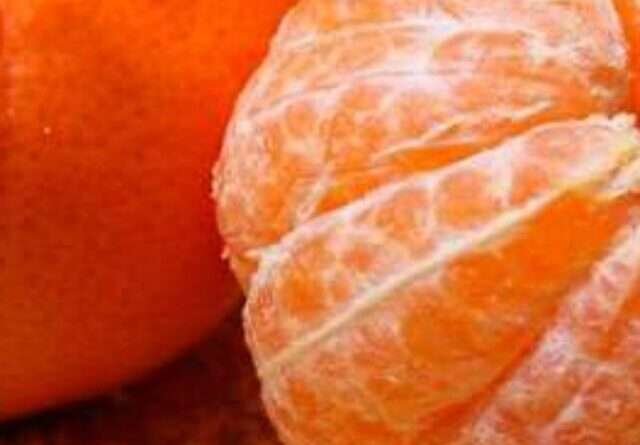 Orange Health Benefits in telugu