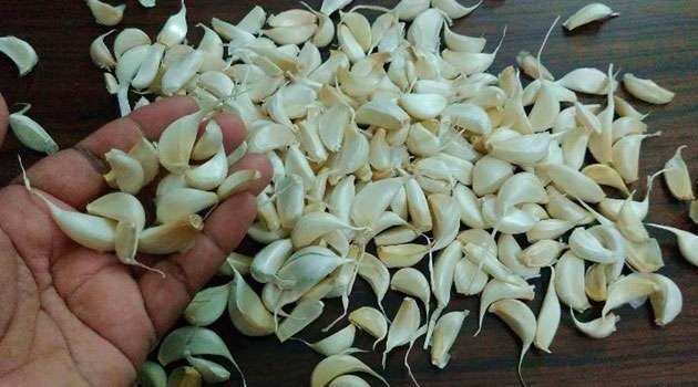 Garlic health benefits in telugu