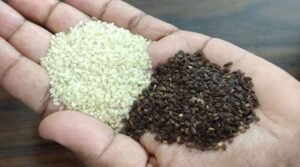 sesame seeds benefits in telugu