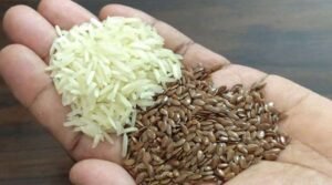 Flax Seeds Hair fall Tips In telugu