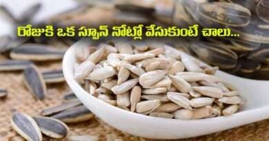 Sun Flower Seeds:రోజుకి ఒక స్పూన్ నోట్లో వేసుకుంటే చాలు…నరాల బలహీనత,డయబెటిస్,రక్తపోటు అనేవి జీవితంలో ఉండవు