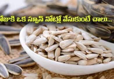 Sun Flower Seeds:రోజుకి ఒక స్పూన్ నోట్లో వేసుకుంటే చాలు…నరాల బలహీనత,డయబెటిస్,రక్తపోటు అనేవి జీవితంలో ఉండవు