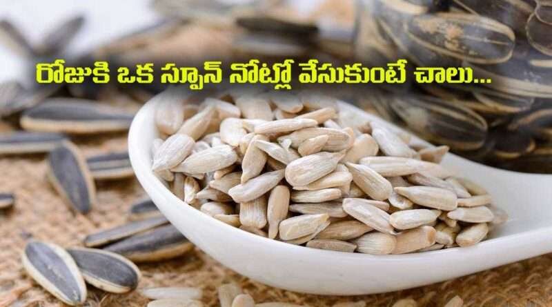 Sun Flower Seeds:రోజుకి ఒక స్పూన్ నోట్లో వేసుకుంటే చాలు…నరాల బలహీనత,డయబెటిస్,రక్తపోటు అనేవి జీవితంలో ఉండవు