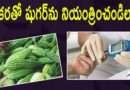 Bitter Gourd For Diabetes:కాకరతో షుగర్‌ను నియంత్రించండిలా..