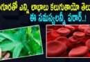 Gongura: గోంగూర‌తో ఎన్ని లాభాలు క‌లుగుతాయో తెలుసా..? ఈ సమస్యలన్నీ పరార్‌..!