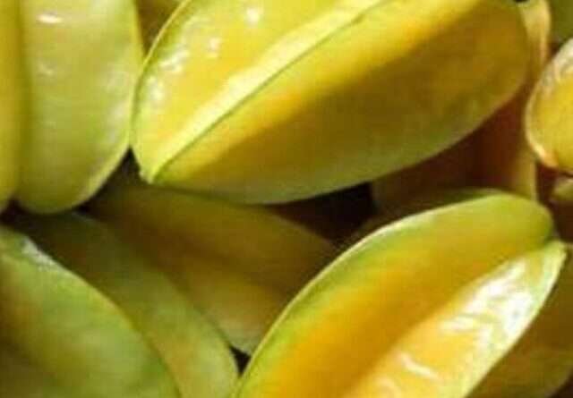 Star Fruit Benefits