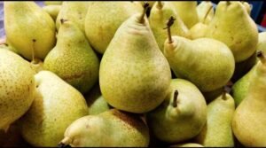 Pears Health benefits In telugu