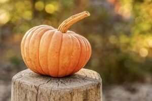 Pumpkin Benefits