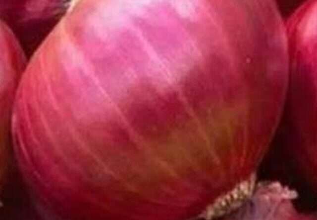 cropped-onion.jpg