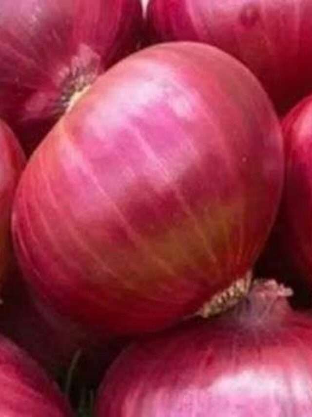 Raw Onion: పచ్చి ఉల్లి తింటే ఎన్ని లాభాలో తెలుసా.?