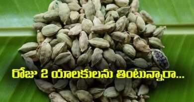 Cardamom:రోజు 2 యాలకులను తింటున్నారా…. ఈ 4 నిజాలను తెలుసుకోకపోతే నష్టపోతారు