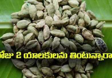 Cardamom:రోజు 2 యాలకులను తింటున్నారా…. ఈ 4 నిజాలను తెలుసుకోకపోతే నష్టపోతారు