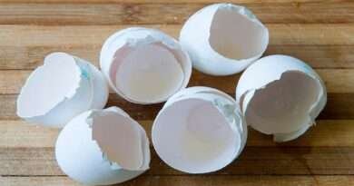 Egg Shells Benefits:కోడిగుడ్డే కాదు.. దాని పెంకుతో కూడా బోలెడు లాభాలు.. తెలిస్తే అస్సలు పారేయరు!