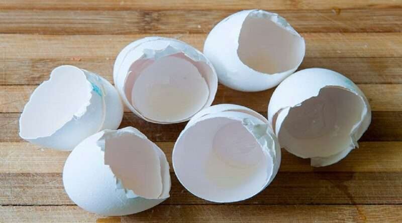 Egg Shells Benefits:కోడిగుడ్డే కాదు.. దాని పెంకుతో కూడా బోలెడు లాభాలు.. తెలిస్తే అస్సలు పారేయరు!