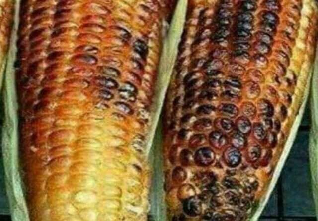 cropped-corn.jpg