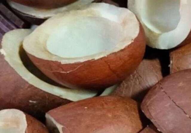 cropped-dry-coconut.jpg