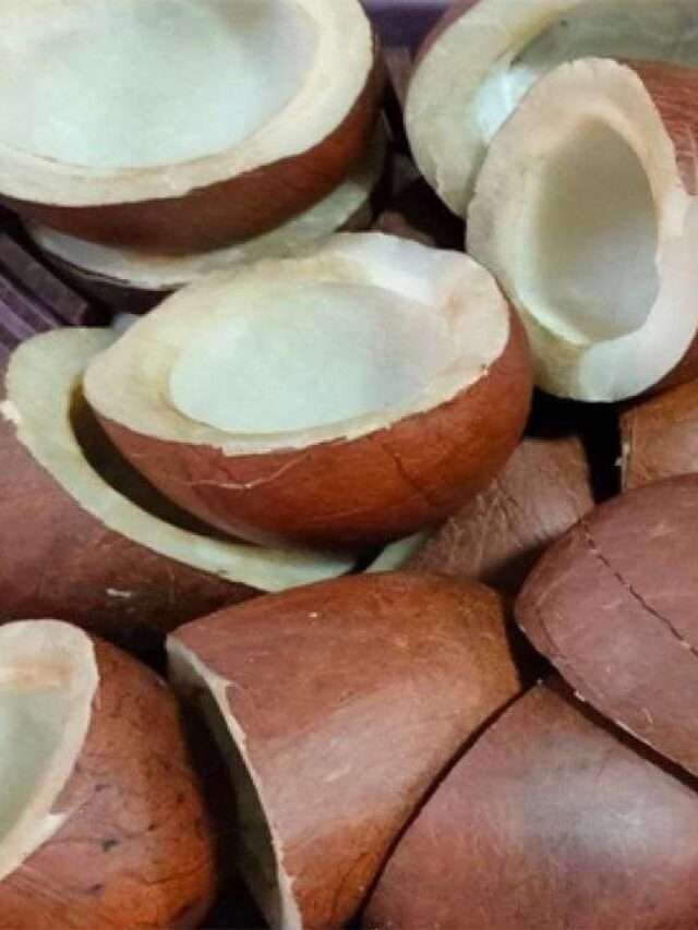 Dry Coconut : ఎండు కొబ్బరి తింటే ఎన్ని లాభాలో తెలుసా ..?