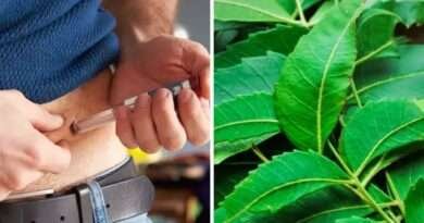 Neem For Diabetes:షుగర్ ఉన్నవారు వేప ఆకులను తింటే ఏమి అవుతుందో తెలుసా..?