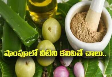 Hair Growth Tips:షాంపూలో వీటిని కలిపితే చాలు జుట్టు రాలకుండా ఒత్తుగా,పొడవుగా పెరగటం ఖాయం..