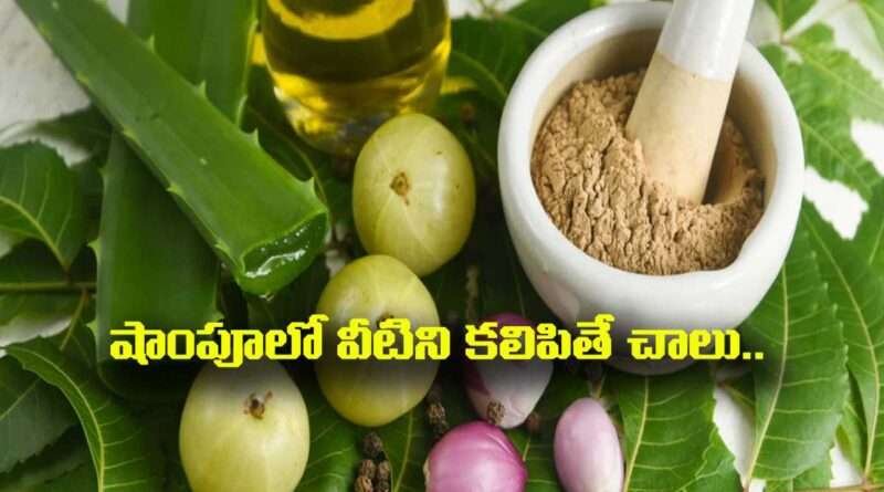 Hair Growth Tips:షాంపూలో వీటిని కలిపితే చాలు జుట్టు రాలకుండా ఒత్తుగా,పొడవుగా పెరగటం ఖాయం..