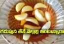 Garlic With Honey:పరగడుపున తేనే,వెల్లుల్లి తింటున్నారా….ఈ 4 నిజాలు తెలుసుకోండి