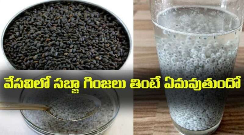 Sabja seeds:వేసవిలో సబ్జా గింజలు తింటే ఏమవుతుందో తెలుసా…