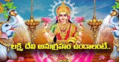 Lakshmi Devi blessings:లక్ష్మి దేవి అనుగ్రహం ఉండాలంటే ఏమి చేయాలి