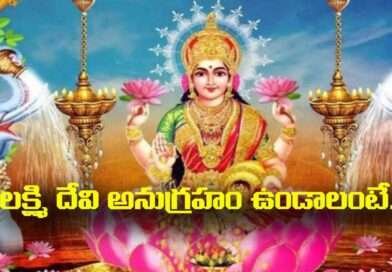 Lakshmi Devi blessings:లక్ష్మి దేవి అనుగ్రహం ఉండాలంటే ఏమి చేయాలి