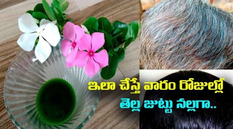 White Hair:ఇలా చేస్తే వారం రోజుల్లో తెల్ల జుట్టు నల్లగా మారటం ఖాయం