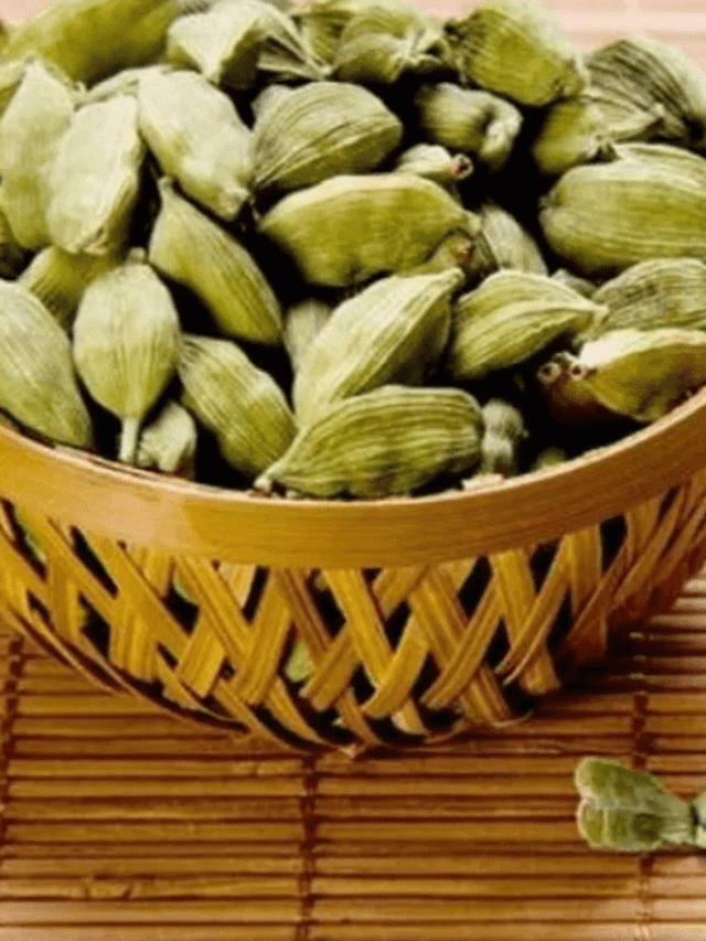 Cardamom: రోజుకు రెండు యాలకులు తింటే ఎన్ని లాభాలో..