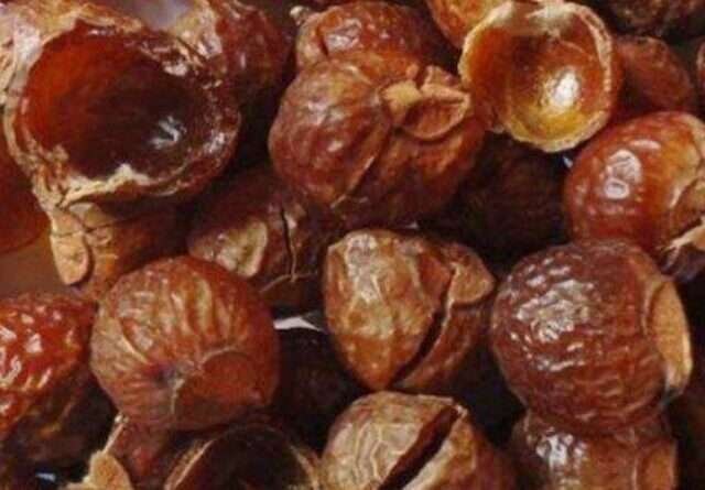 cropped-Soap-nuts.jpg