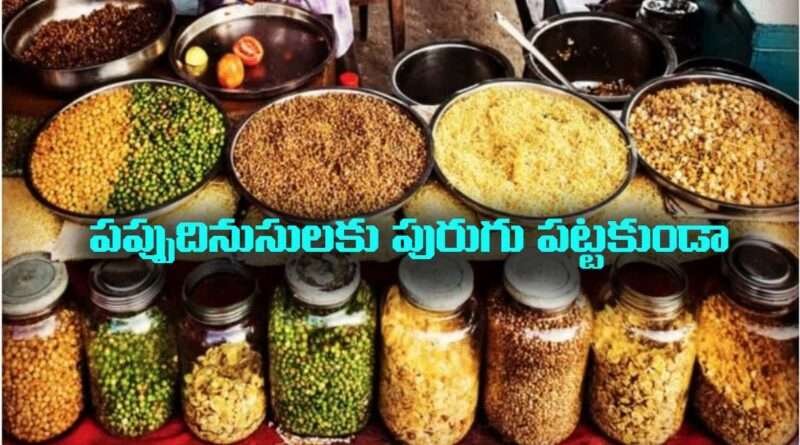 Kitchen Hacks:పప్పుదినుసులకు పురుగు పట్టకుండా ఉండాలంటే.. ఇలా చేస్తే సరి..