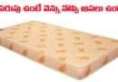 Springwel Foam Mattress:ఈ పరుపు ఉంటే వెన్ను నొప్పి అసలు ఉండదు..