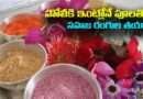 Organic Holi Colours : హోలీకి ఇంట్లోనే పూలతో సహజ రంగుల తయారీ.. ఎలానో చూడండి..